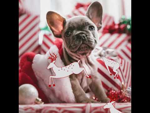 It’s Our Christmas Sale