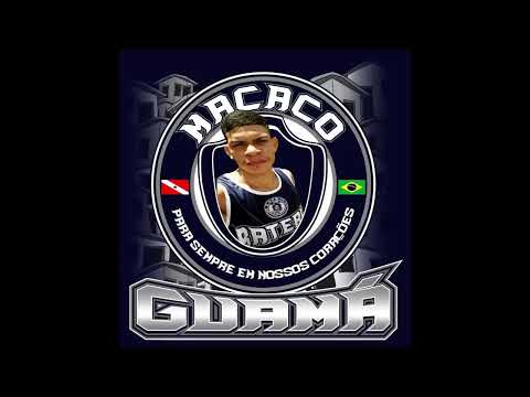 Remoçada Guama de Luto -Eterno Macaco Louco   Mc Elzinho (djZG)