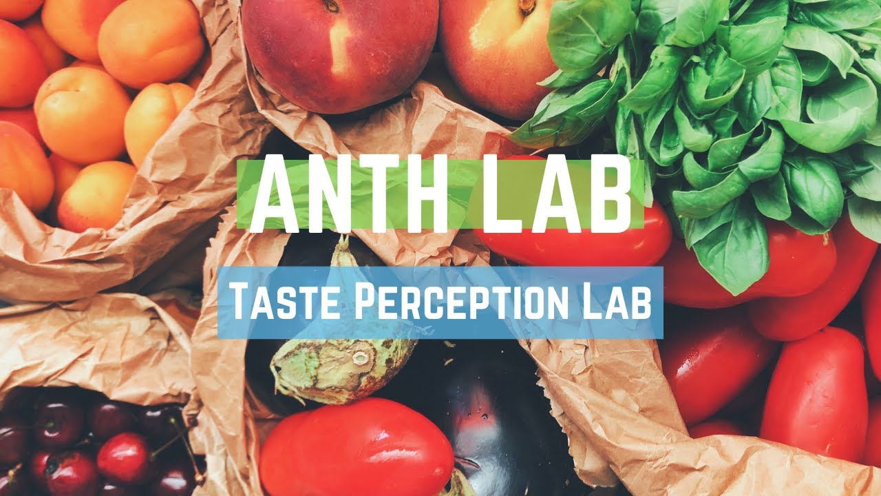 Taste Perception Lab