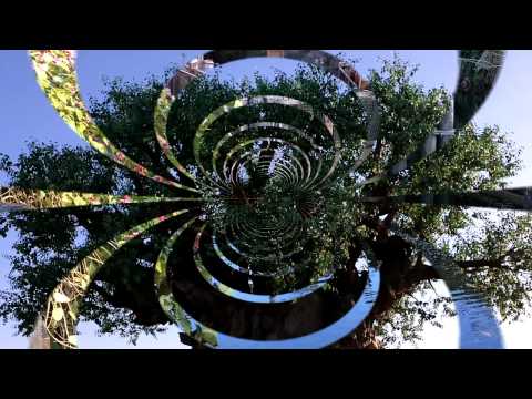 Great View of The Tree of Life [My Disney HD Views]