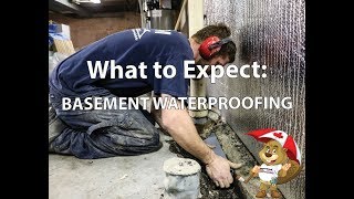 Watch video: What to Expect: BASEMENT WATERPROOFING