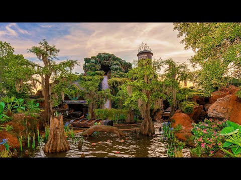 They wanted the pond from DISNEY WORLD