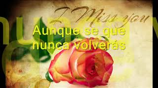 Siempre te amaré   Los Yonic´s