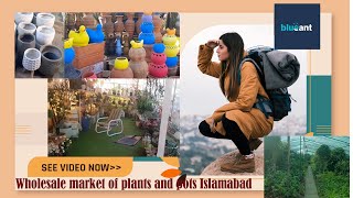 Wholesale Plants Nursery Farm in Islamabad |All kinds of Pots|