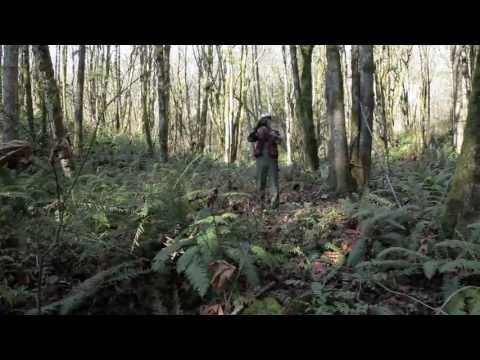 Don't Quit Your Day Job #11: Lost Lander