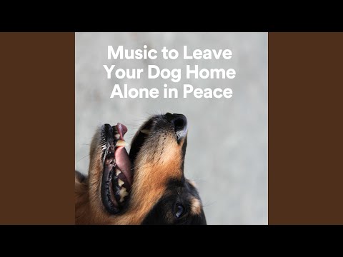 Music to Leave Your Dog Home Alone in Peace, Pt. 16