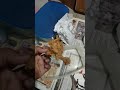 KFC - Bad customer n food services - Image 2