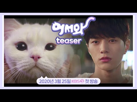 [티저 0] ☆냐옹☆ 봄이 기다려지는 이유 ＜어서와＞ 3월 25일 첫 방송! 20200121 예고편