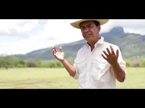 Cuestión Olvidada - Efraín Toledo Video Oficial