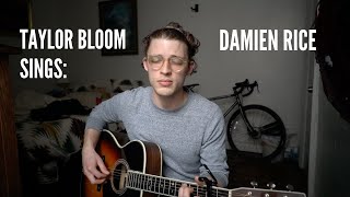 Older Chests - Damien Rice | Cover