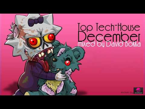 Top Tech-House December 2013
