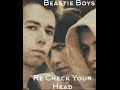 Beastie Boys - 20 Questions ( Re Check Your Head )( Rediscovered )