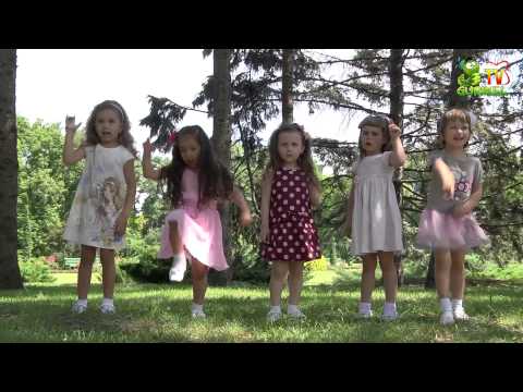 Licuricii - Fluturasii