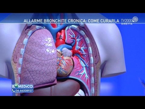 Gonfiore delle gambe e dei piedi articolazioni dolenti Allinizio della gravidanza tira il dolore basso addome inferiore della schiena