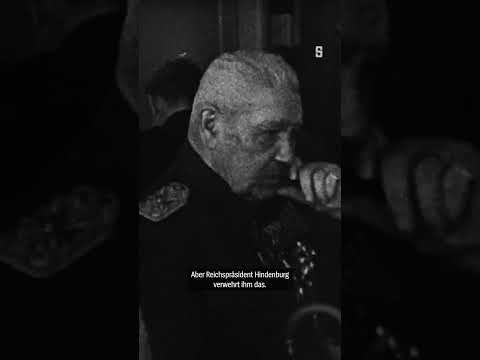 Video Thumbnail: Die Geschichte der NSDAP, Teil IV | DER SPIEGEL Shorts