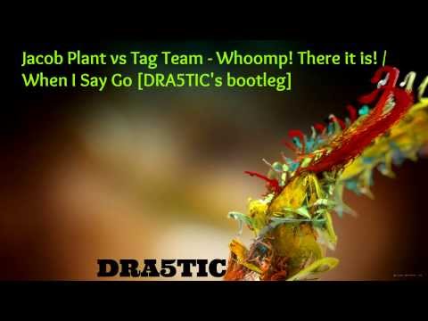 Jacob Plant VS Tag Team - Whoomp! There it is! / When I Say Go (DRA5TIC Bootleg) [HD]