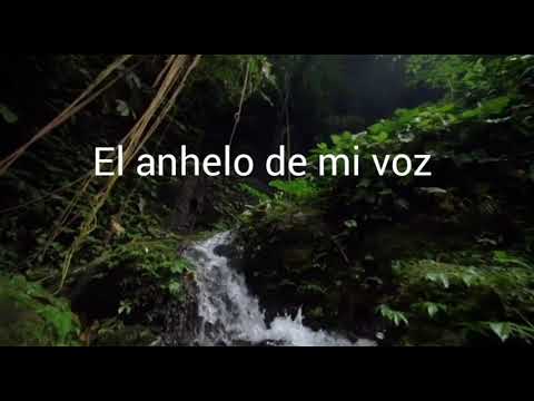 El anhelo de mi voz