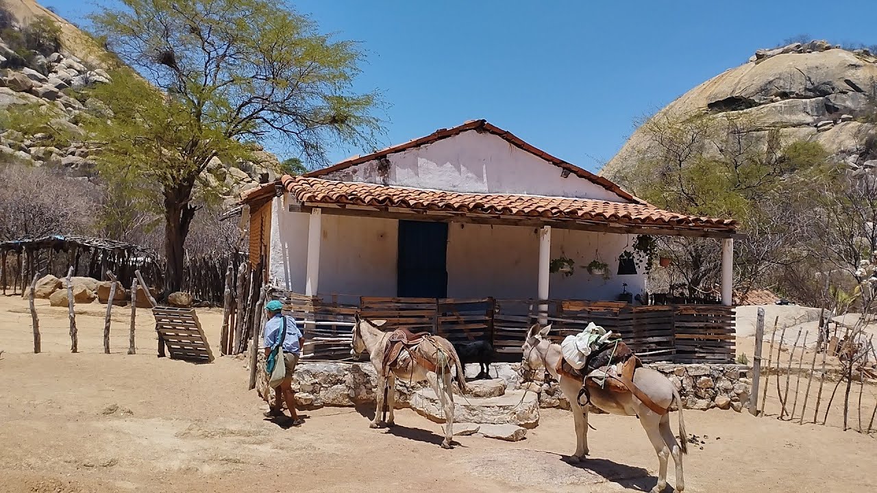 ELE VIVE ISOLADO NA SERRA DO ABREU: HÁ MAIS DE 30 ANOS NO SERTÃO