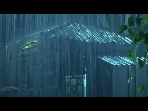 Pioggia Rilassante nella Foresta Nebbiosa per Dormire in 5 Minuti | Suoni di Pioggia e Temporale