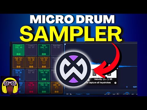 Waveform 13 Free Tutorial for Beginners | Micro Drum Sampler Tips