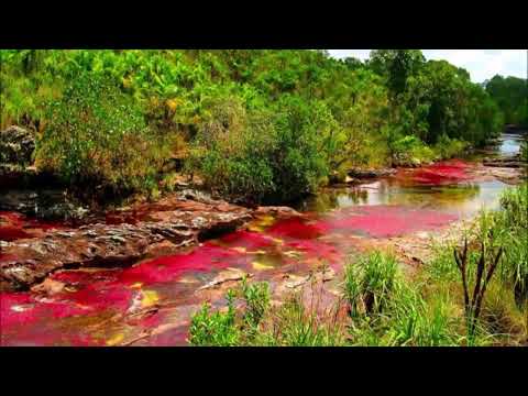 KURS O ČUDIMA   -  LEKCIJE  221.-  240.