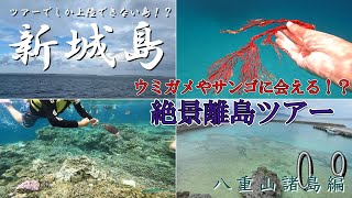 Only available on a tour!? A spectacular tour of Aragusuku Island [Yaeyama Islands Edition, Part 9]