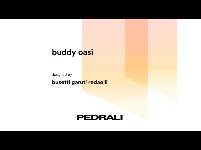 Buddy Oasi