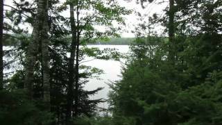preview picture of video 'Loons on Lake (2 of 2)'