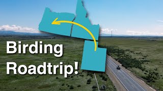 Birding Two New States!!! A Birding Roadtrip Through Idaho and Into Oregon