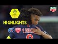 Paris Saint-Germain - Dijon FCO ( 4-0 ) - Highlights - (PARIS - DFCO) / 2018-19