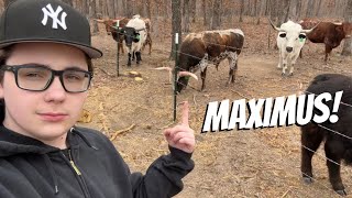 Found Him!