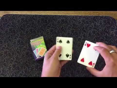 Chameleon backs Performance @VanishingRabbit.com