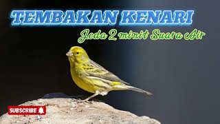 Download lagu SUARA TEMBAKAN KENARI JEDA AIR 2 MINIT #masteranburung mp3 Download lagu SUARA TEMBAKAN KENARI JEDA AIR 2 MINIT #masteranburung mp3