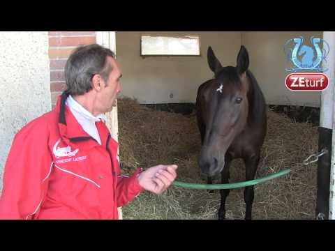 ZAPPING A2TURF JUIN 2014 (Part4) - A2TURF.COM