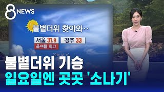 [날씨] 불볕더위 기승..일요일엔 곳곳 '소나기' / SBS 8뉴스