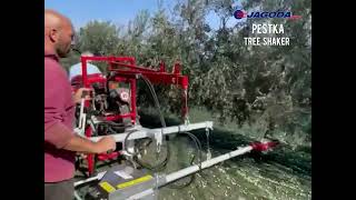 Venta de Jagoda Tree Shaker cosechadora de bayas - Imagen 9 | Agronetto CO Jagoda Tree Shaker cosechadora de bayas nueva | Imagen 9 - Agronetto