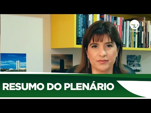 Confira o que foi votado no Plenário nesta semana - 07/08/20