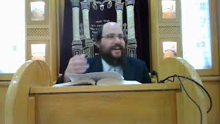 זרע שמשון - פרשת בלק תשפב - הרב יצחק ליכטנשטיין