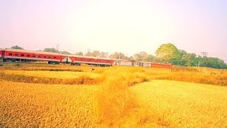 preview picture of video '12801 Purushottam Express with Wap-4 Kills a Cow'