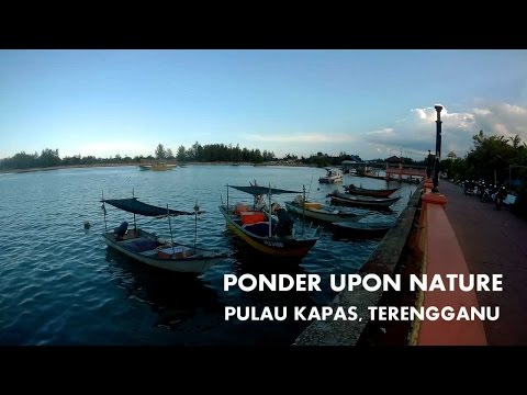 Ponder Upon Nature - Zubair x Safiyyah