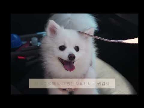 기본썸네일이미지