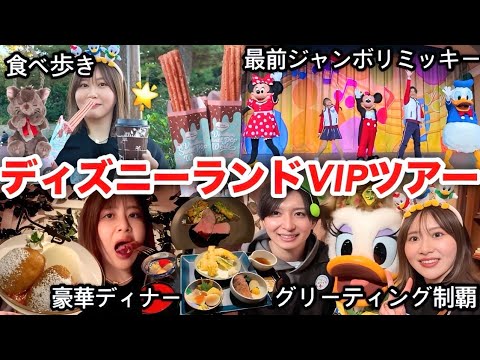 観光ビジネス学科 【ついに！！！】ディズニーランドVIPツアーに行ってきたら楽しすぎて震えました！！！！！！！！