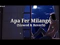 Apa Fer Milange (slowed & reverb) || New Punjabi song in 2024 song with music || SD Lo-fi