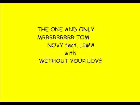 Tom Novy feat. Lima - Without your love