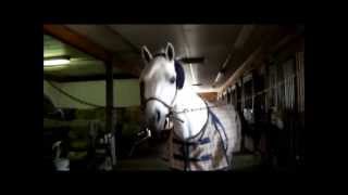 [i will find you there]