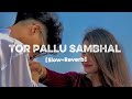 S Z EDITZ TOR PALLU SAMBHAL GORIYA SLOW REVERB TRENDING SONG