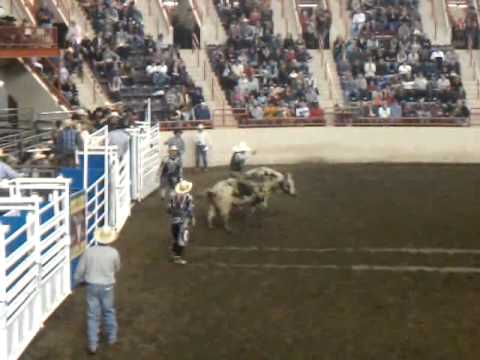 Bull Ride Mania! April