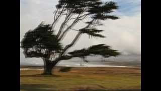 Seal -&quot;Touch&quot;