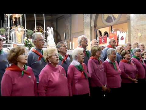 Bresso 40° anniversario Alpini 1