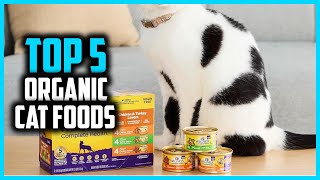 ✅ Top 5 Best Organic Cat Foods in 2026